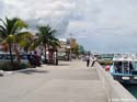 DSC00300
