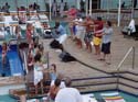 Pools_Goofy-Family_07