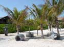 Castaway_scuttles-cove_11
