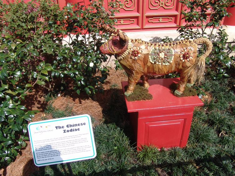 Flower-Garden-Festival-77