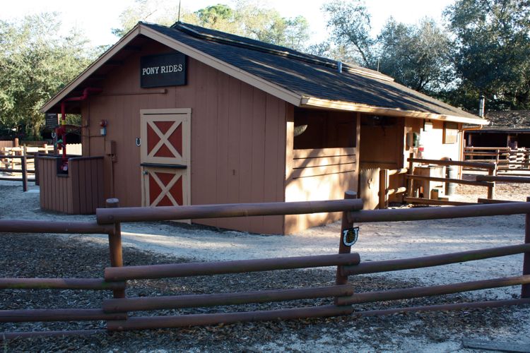 Ft-Wilderness-Recreation-12