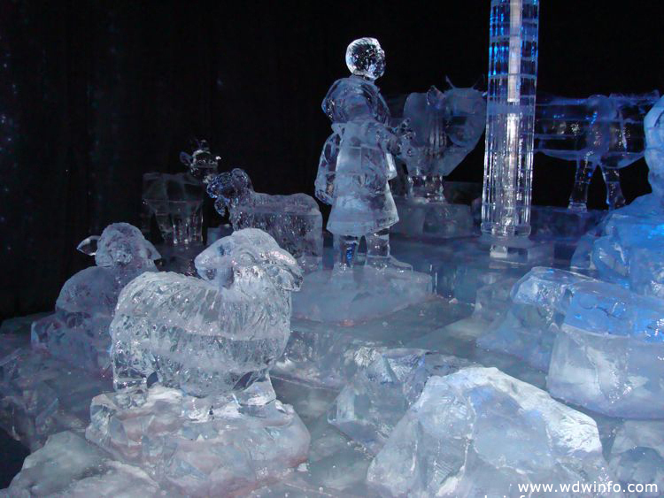 ice-gaylord-palms-57