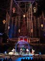 ice-gaylord-palms-07