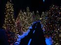 ice-gaylord-palms-08