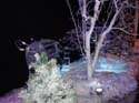 ice-gaylord-palms-24