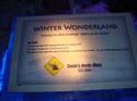 ice-gaylord-palms-27