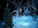 ice-gaylord-palms-28