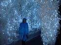 ice-gaylord-palms-62