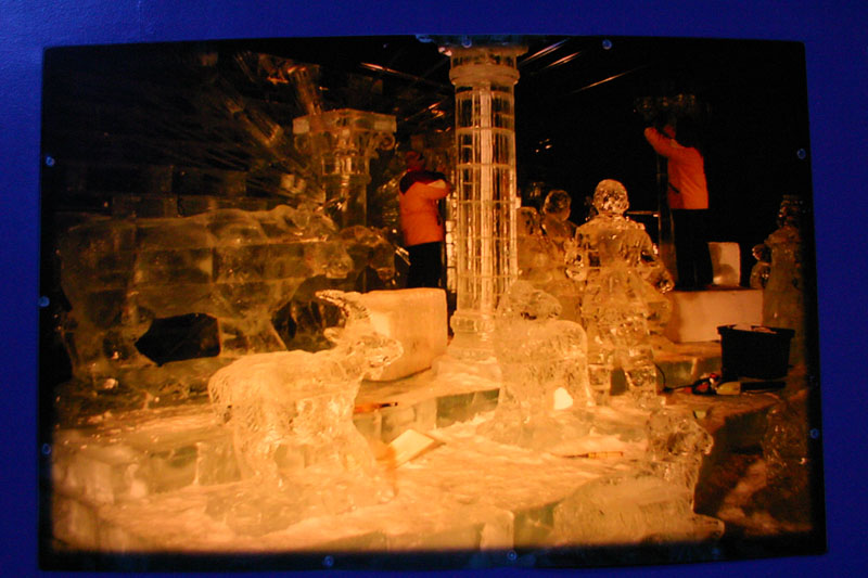 ICE-Gaylord-Palms33