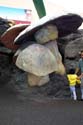 Honey, I Shrunk the Kids Playground_08