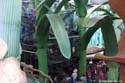Honey, I Shrunk the Kids Playground_09