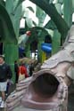 Honey, I Shrunk the Kids Playground_12