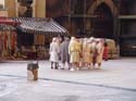 Indiana Jones Stunt_10