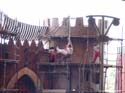 Indiana Jones Stunt_35