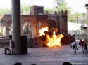 Indiana Jones Stunt_41