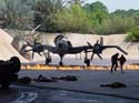 Indiana Jones Stunt_55