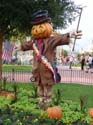 MNSSHP-08_09