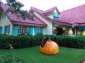 MNSSHP-08_28
