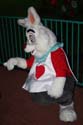 MNSSHP-08_36