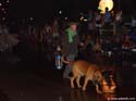 DSC01225a