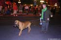 DSC01225aa