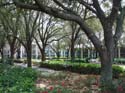 port-orleans-riverside-101