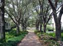 port-orleans-riverside-106