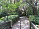 port-orleans-riverside-114