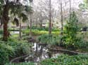 port-orleans-riverside-26