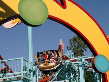  Animal Kingdom - Primeval Whirl