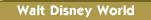 walt disney world