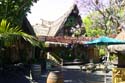 Adventureland - Enchanted Tiki Room 01