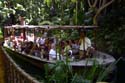 Adventureland - Jungle Cruise 01a