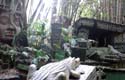 Adventureland - Jungle Cruise 02