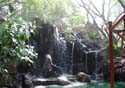 Adventureland - Jungle Cruise 04