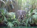 Adventureland - Jungle Cruise 06