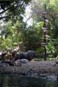 Adventureland - Jungle Cruise 11