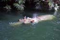 Adventureland - Jungle Cruise 12