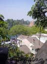Adventureland - Tarzan Treehouse 02