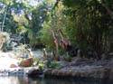 Adventureland-10