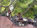 Adventureland-43