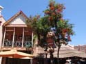 Adventureland-59