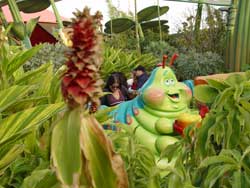 Disney California Adventure Heimlich's Chew Chew Train