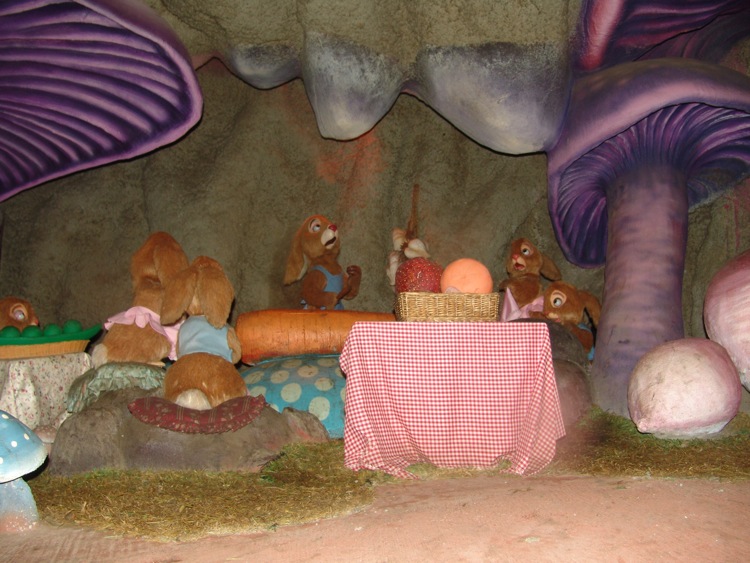 Critter-Country-14