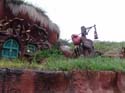 Critter-Country-11