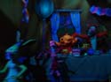 Critter-Country-22