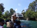 Critter-Country-31