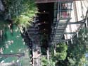 Critter-Country-38