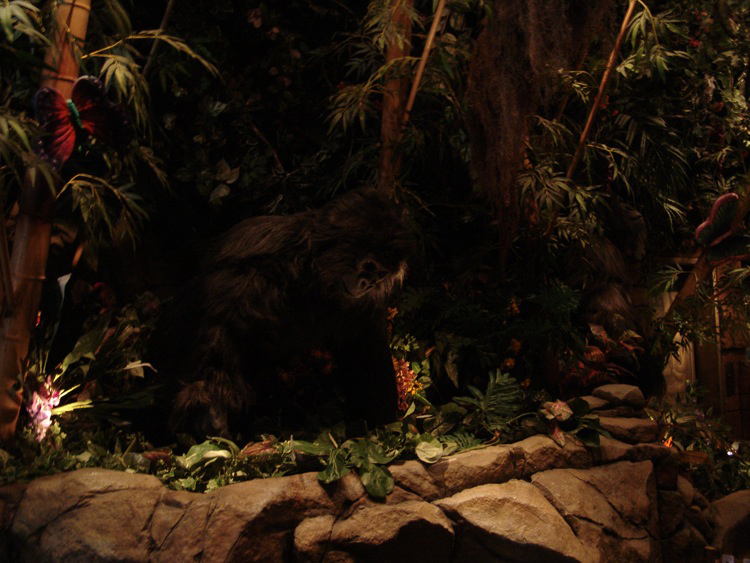 Downtown-Disney-DL-021