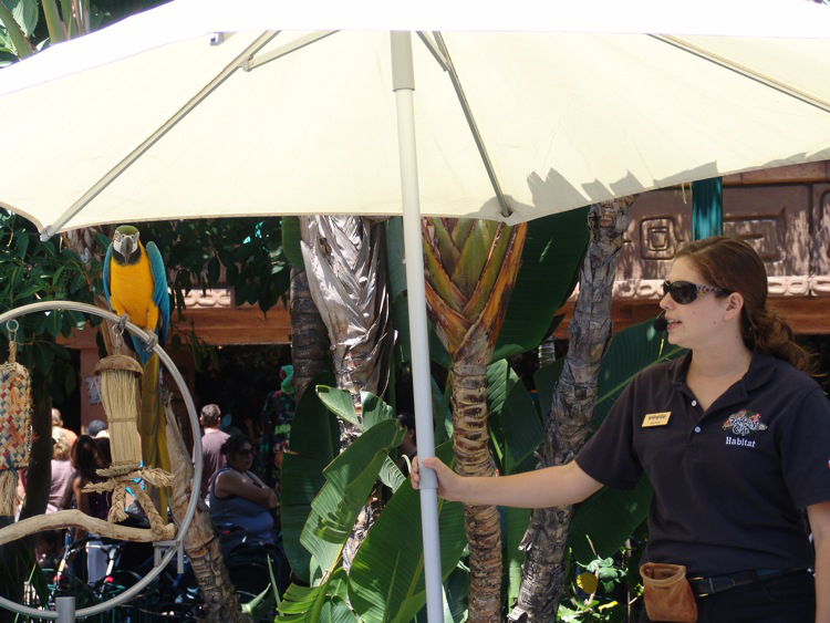 Downtown-Disney-DL-026